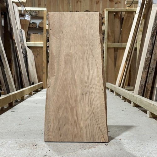 Holm oak plank board waney - holm,