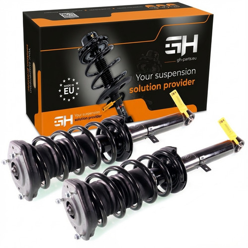 Complete struts assembly - complete,