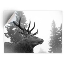 1 x Vinyl Sticker A4 - BW -