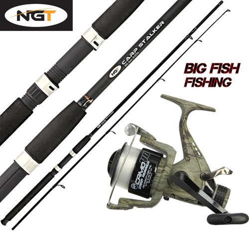 Ngt 8ft carp - carp, fishing