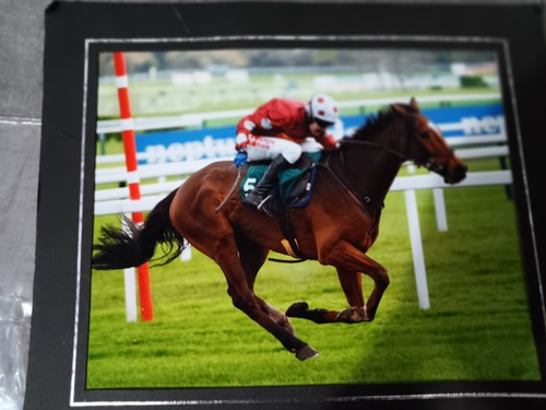 Horse racing picture - horse,