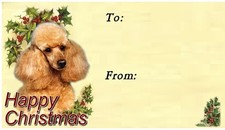 Poodle (Apricot) Dog Christmas