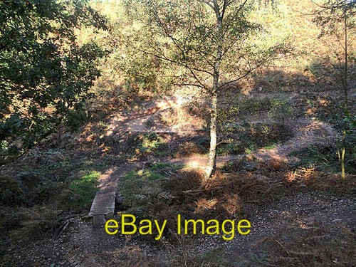 Photo 6x4 zig zags - 6x4, on