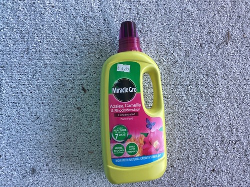 Miracle gro azalea - gro,