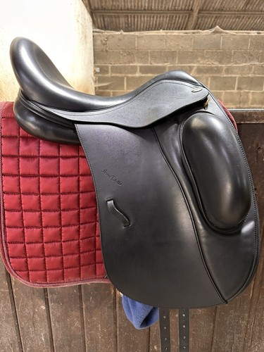 Harry dabbs allure dressage - dabbs,