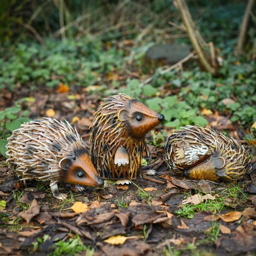 Hedgehog family steel - hedgehog, garden