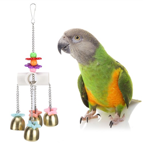 Cute parrots toy bird - cute,