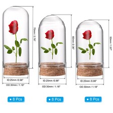 24pcs Cloche Glass Dome Glass