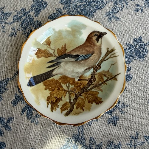 Vintage bone china heritage - bone,