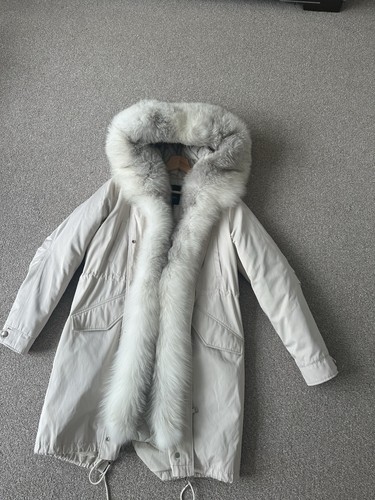 Artic fox real - artic, fur
