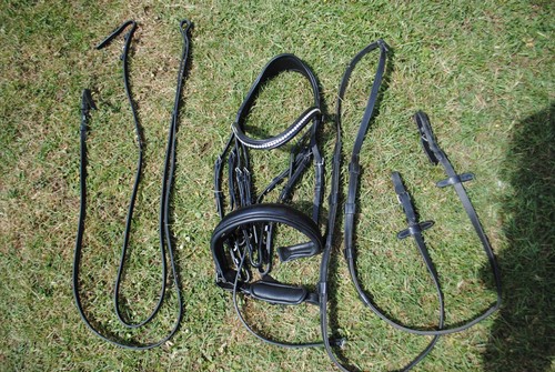 Premier equine abriano - equine,