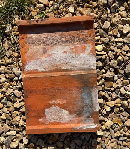 Reclaimed john board - john,