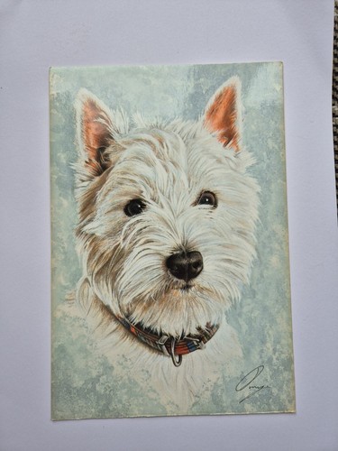 West highland terrier - west,