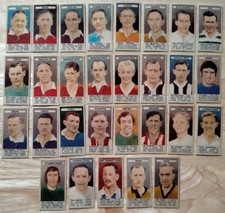 The Observer We Are The