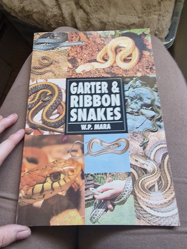 Garter ribbon snakes w - garter, w.p