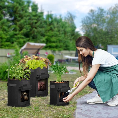 Grow bags gallon plant - bags,