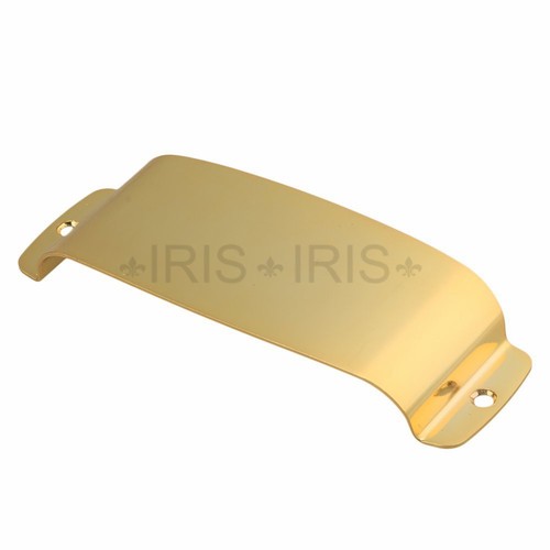 Zinc alloy jazz bass - zinc, guitar