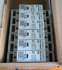 EUROPA 20 AMP DOUBLE POLE NC