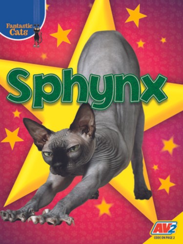 Sphynx sierra wilson - sierra,