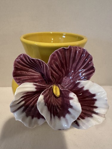 Anthropology bright yellow - anthropology,