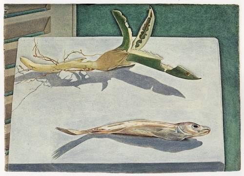 Still life with - life,