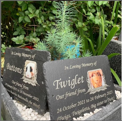 Burial grave marker cemetery - burial,