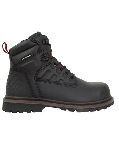 Hoggs fife hercules - of,