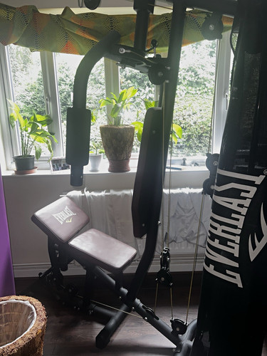 Everlast adjustable home gym - everlast,