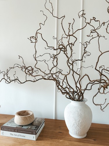 Real decorative dried twisted - real,