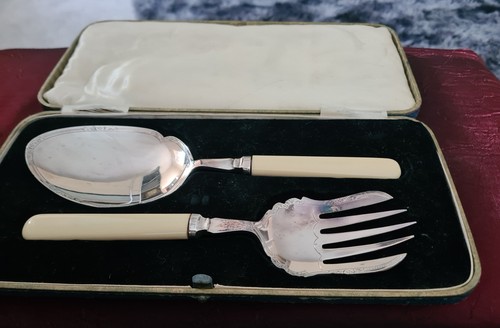 Vintage cased epns serving - vintage,