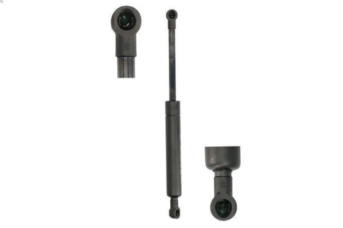 Gas spring convertible roof - gas,
