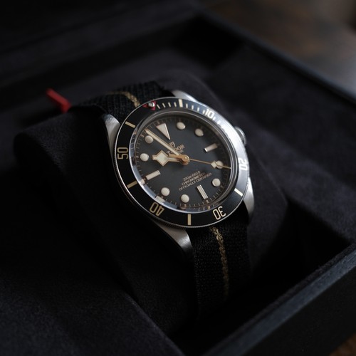 Tudor black bay - bay, 58