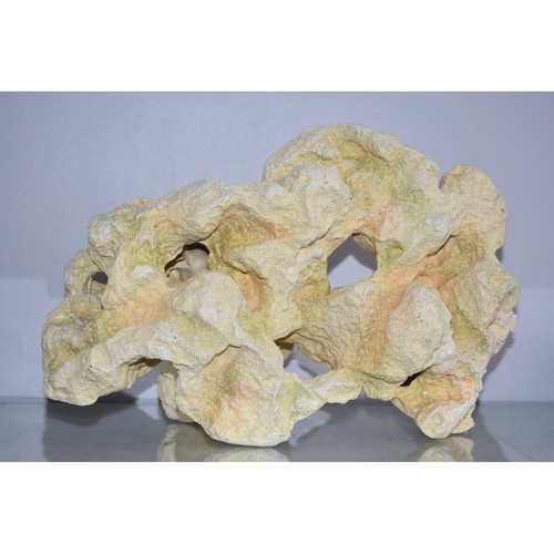 Stunning giant detailed coral - giant,