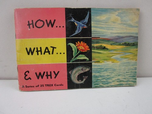 How what why - how,