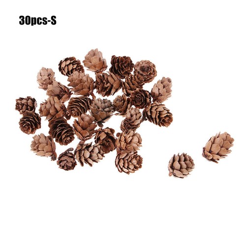 Natural pine cones - pine,