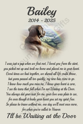 Labrador dog personalised - dog,