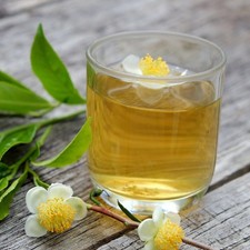 1 gal Brew-Tea-Ful Plant