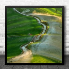 Pickup Car Fields Cypress