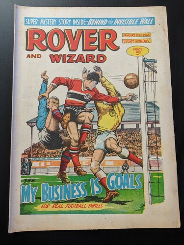 Rover and wizard - rover,