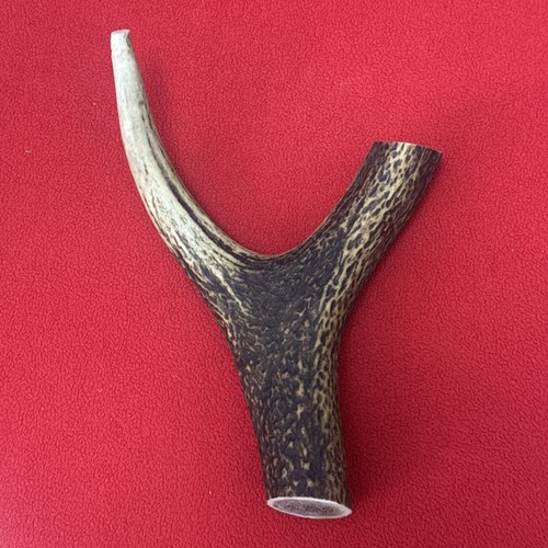 One piece deer antler - piece, antler,