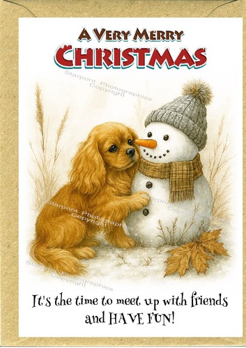 Cavalier king charles spaniel - cavalier,
