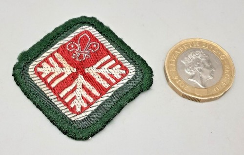 Vintage boy scouts - boy, badge