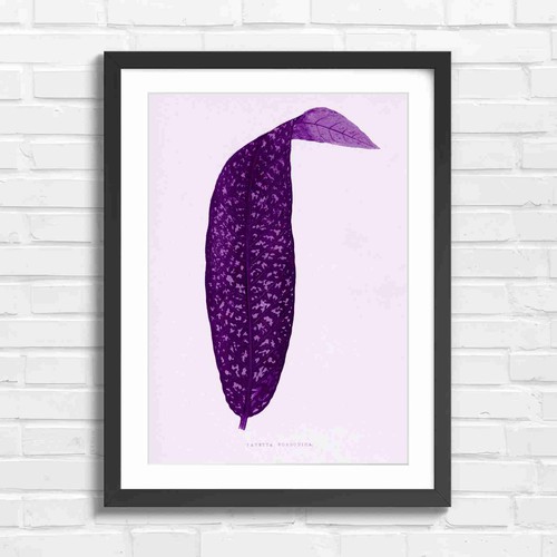 Botanical vintage leaf - botanical,