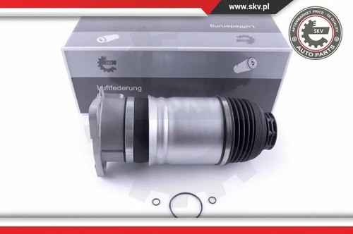 Rear left air - left, spring