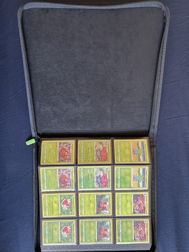 100 complete pokémon lost - pokémon,