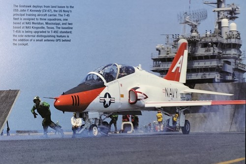 Goshawk picture aircraft - picture,