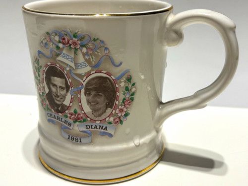 1981 charles diana royal - charles,
