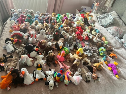 Beanie babies - ty,