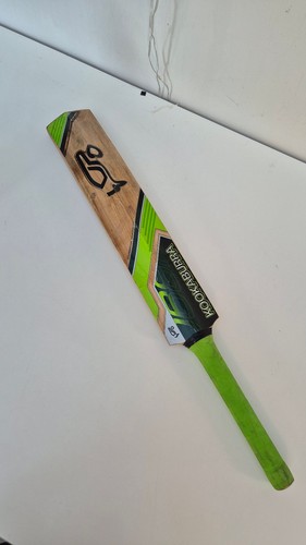 Kookaburra kahuna prodigy - kookaburra,