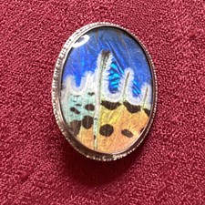 BUTTERFLY WING BROOCH & MORPHO